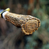 Custom Handmade J2 Steel Dagger with Stag Horn Handle – New Year/Birthday Gift