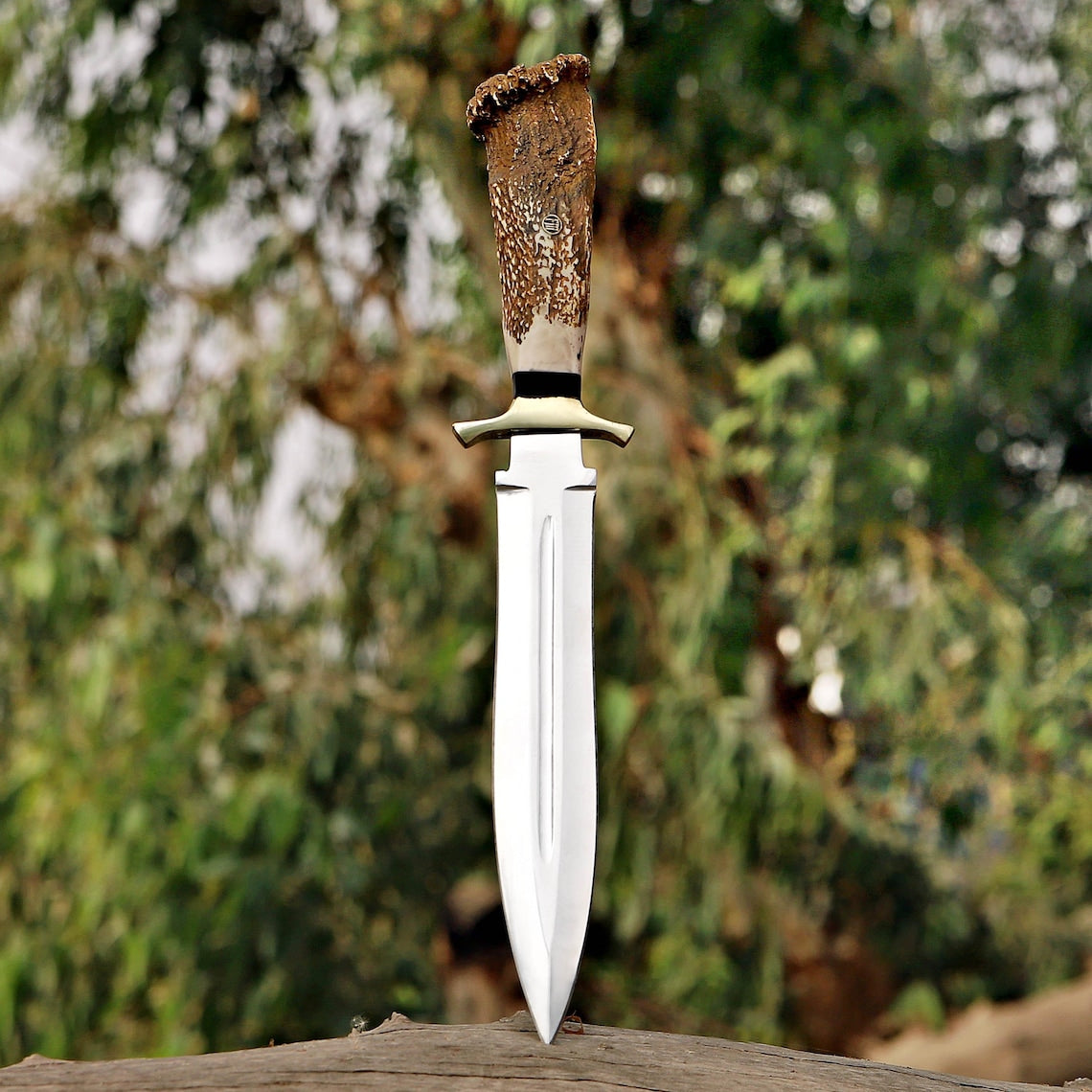 Custom Handmade J2 Steel Dagger with Stag Horn Handle – New Year/Birthday Gift